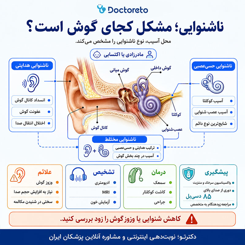اینفوگرافیک ناشنوایی