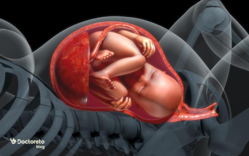 نشانه های جنین مرده در شکم چیست؟