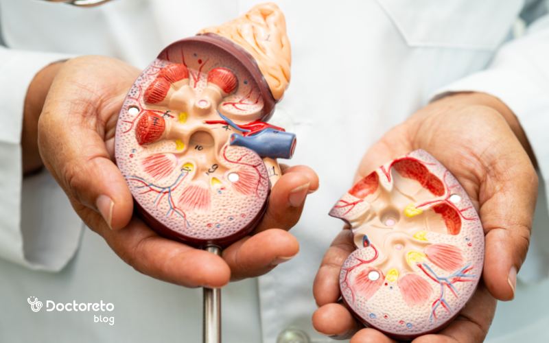 نفروپاتی دیابتی در کدام مرحله ممکن است بازگردد؟