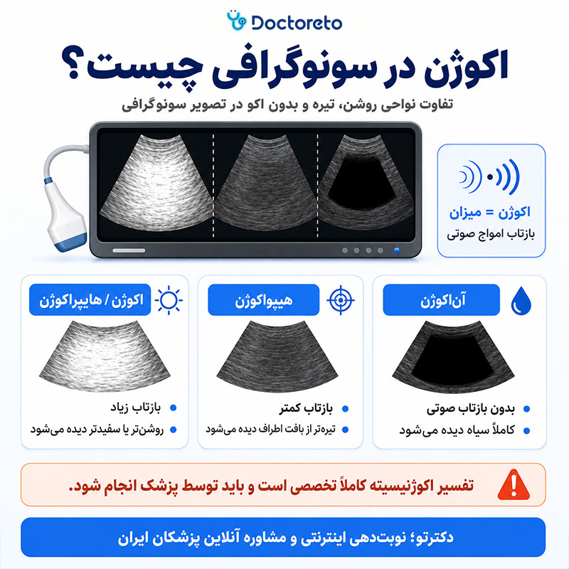 اینفوگرافی اکوژن در سونوگرافی چیست