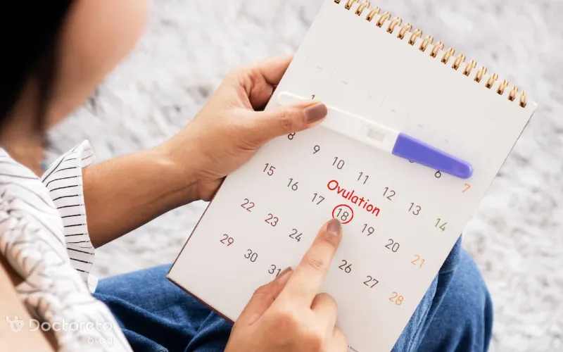 محاسبه تخمک‌ گذاری بعد از قطع قرص ضدبارداری چگونه انجام می شود؟