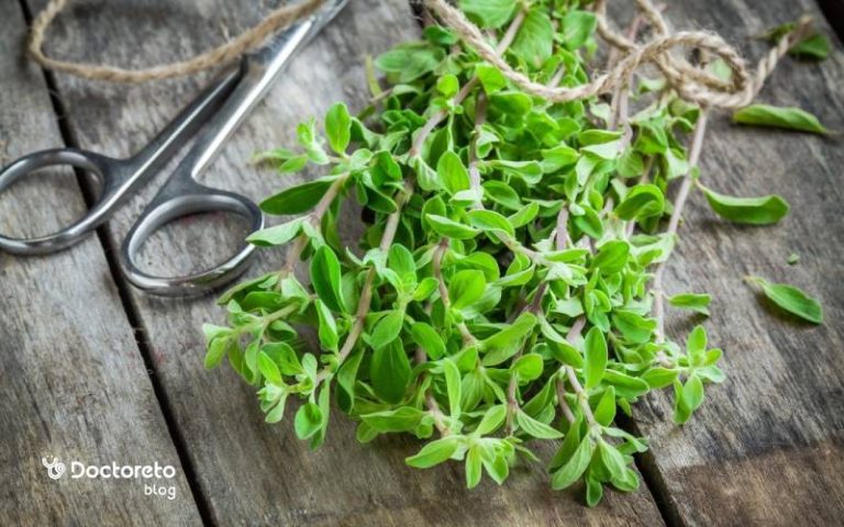 هر آنچه باید در مورد خواص مرزنجوش برای مغز بدانید