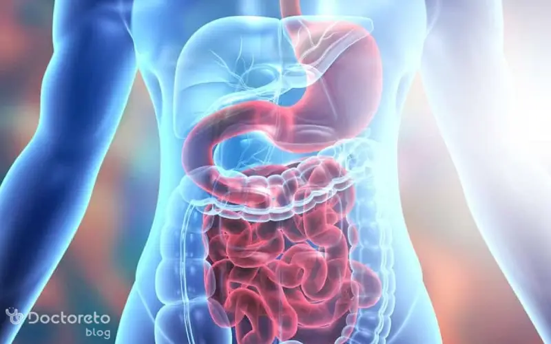 عکس دستگاه گوارش انسان بدین شکل است.