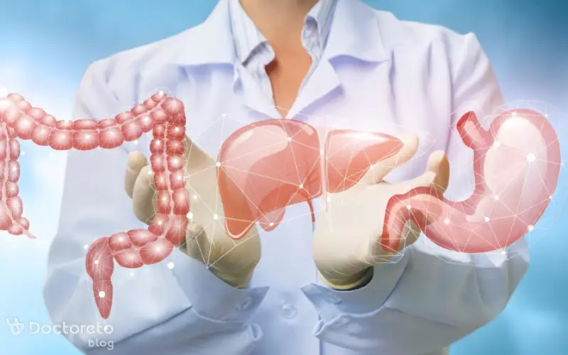 اندام های دستگاه گوارش انسان عملکرد متفاوت دارند.