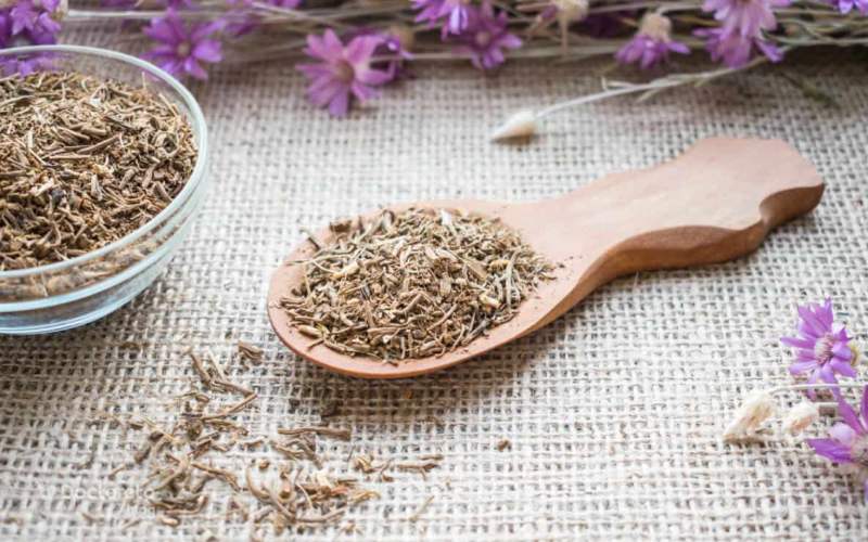 سنبل الطیب چیست و از کجا می آید؟
