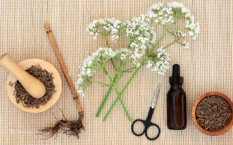 موارد منع مصرف و احتیاط مصرف سنبل الطیب چیست؟