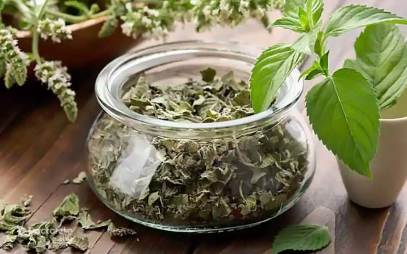 بادرنجبویه برای تپش قلب عصبی و بی قراری مفید است.