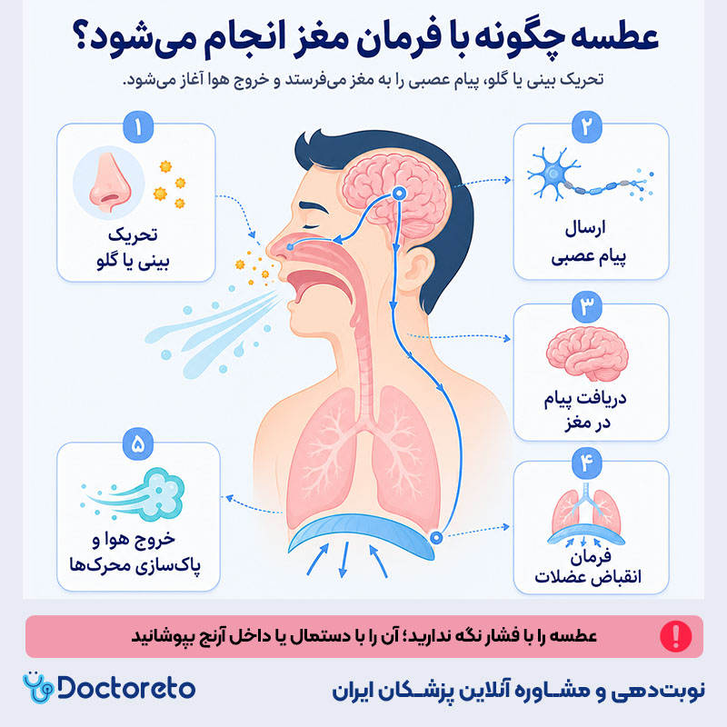 اینفوگرافیک فواید عطسه برای مغز