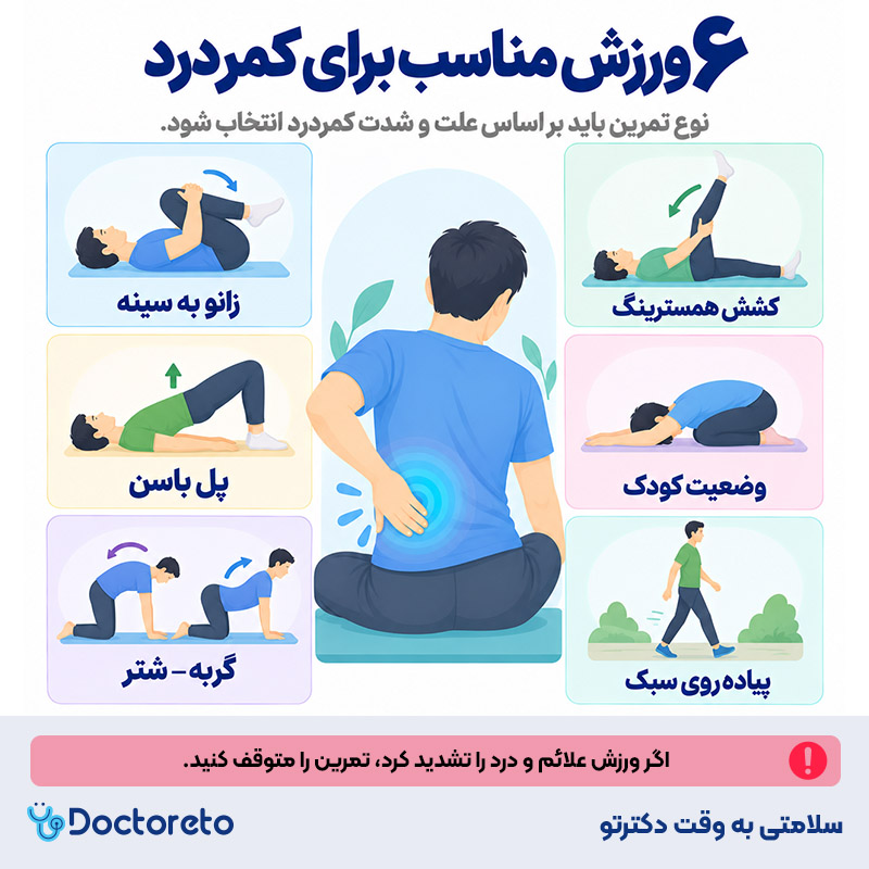 اینفوگرافیک ورزش کمر درد