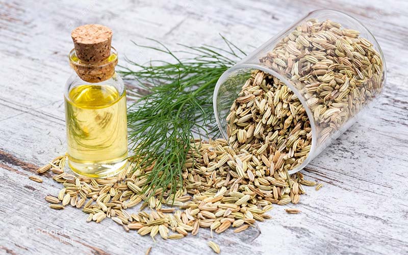 آیا روغن رازیانه حجم دهنده سینه است؟