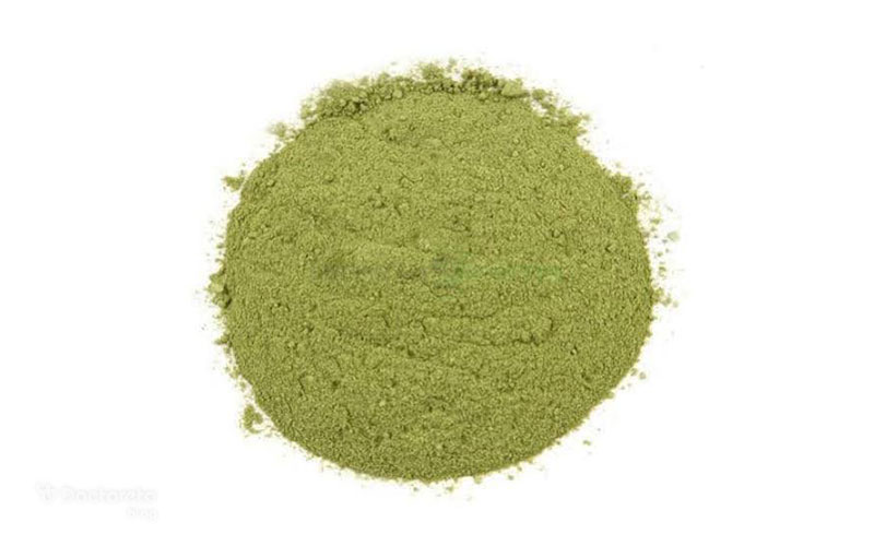 طریقه مصرف برگ سنا برای یبوست چیست؟